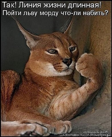 №1, Юлия Павлова, Екатеринбург №1, Юлия Павлова, Екатеринбург