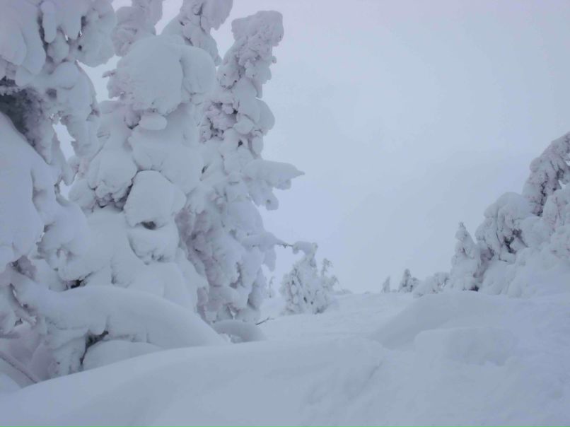 Сергій Деренько | Киев