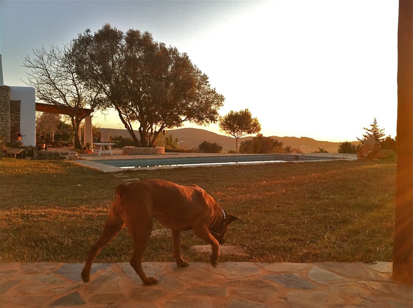 Denis Naidanow | Budva