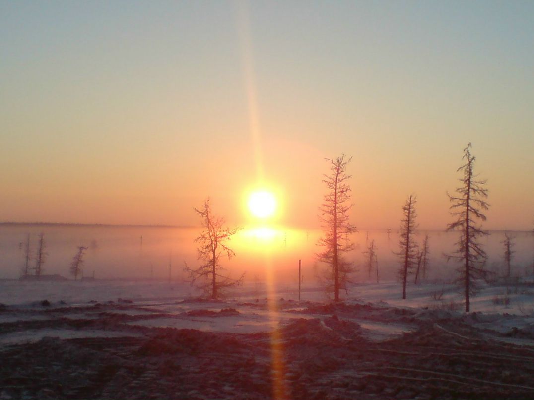 Илья Горшков | Курск