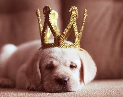 Яна Федотова | 