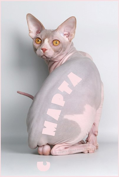 Никита Романов | Санкт-Петербург