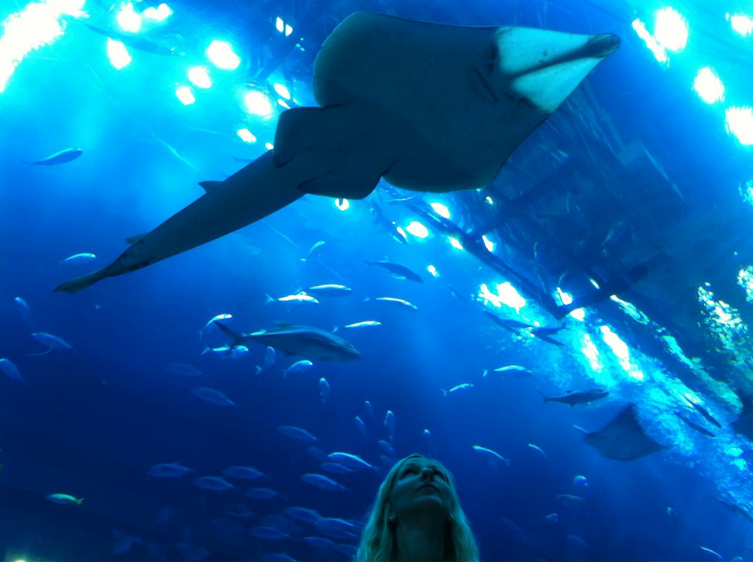 Муза Дубровская | Харьков