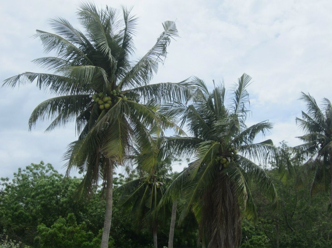 Сергей Матяж-Данилов | Санкт-Петербург