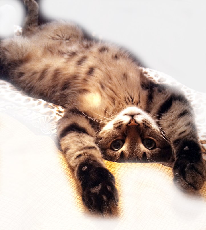 Катерина Башмакова ???? | Москва