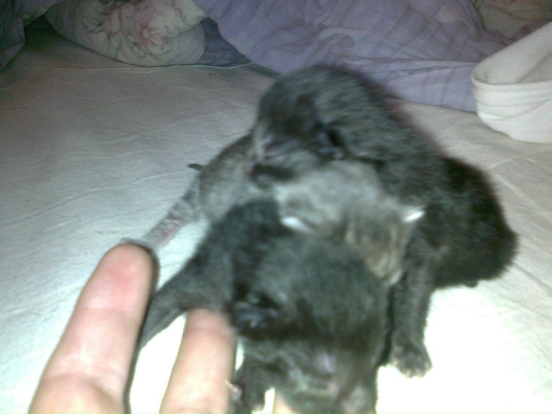 Дима Пивень Jager | Москва