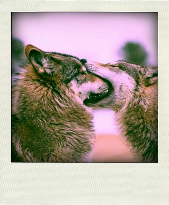 Лилия Юрьевна Кремень | Санкт-Петербург