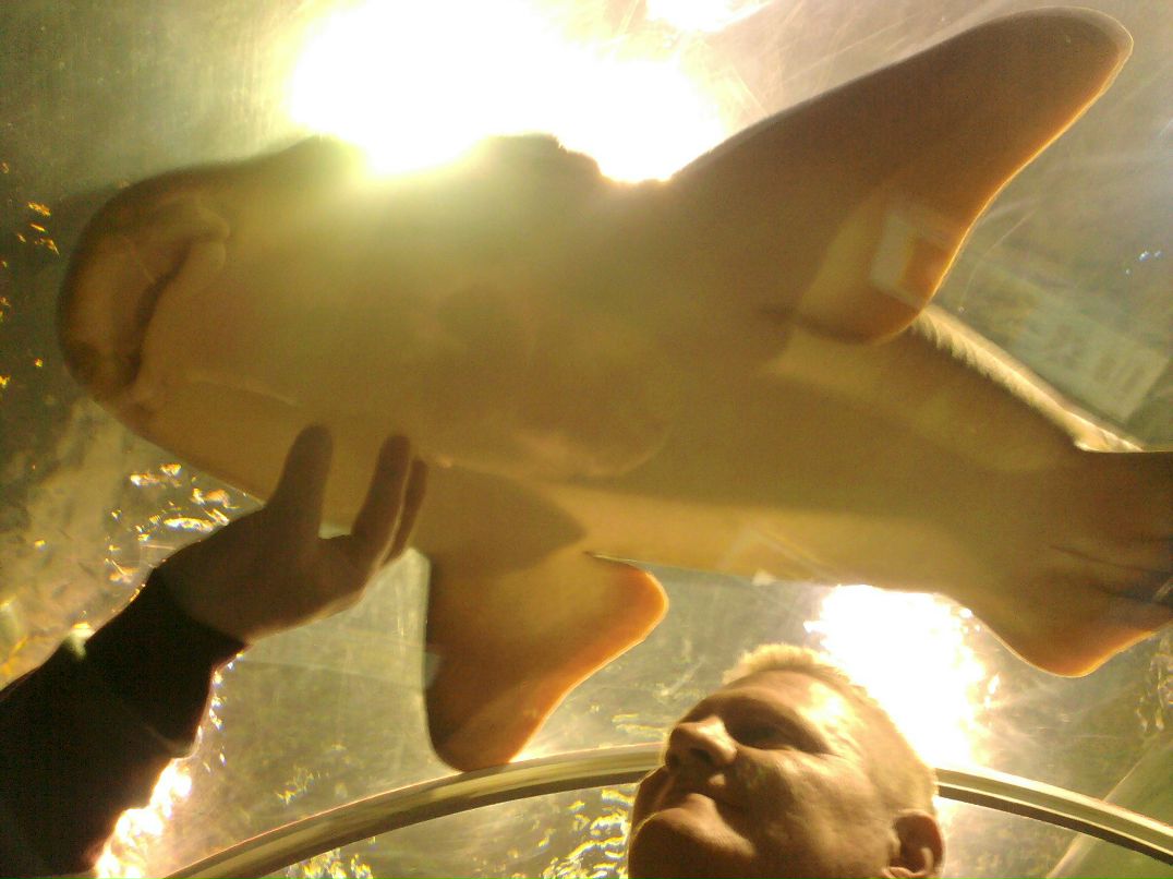 Игорь Смелов | Санкт-Петербург