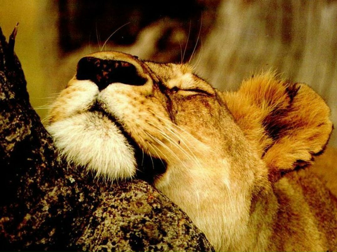 Слава Демичев | Приморск