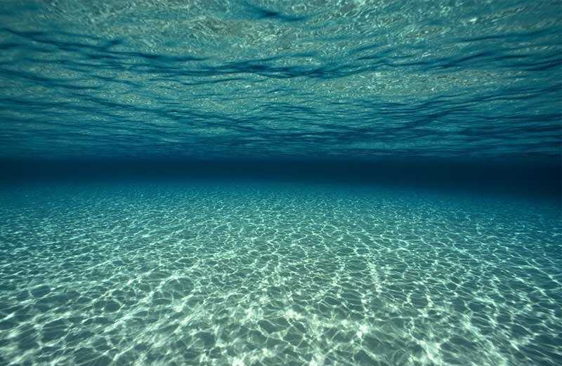 Дмитрий Таврин | Казань