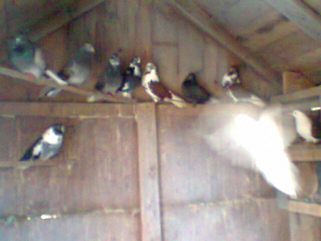 Игорь Авдеев | Москва