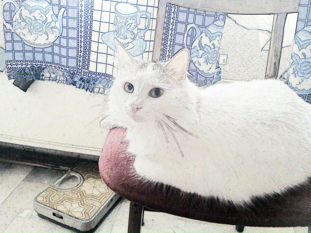 Андрей Клепцов Викторович | Уфа