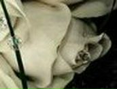 Ксюша Елецкая | Уссурийск