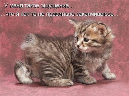 София Николенко | Липецк