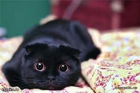 Карина Рейдель | Ставрополь