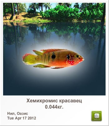 Игнат Кудревич | Минск