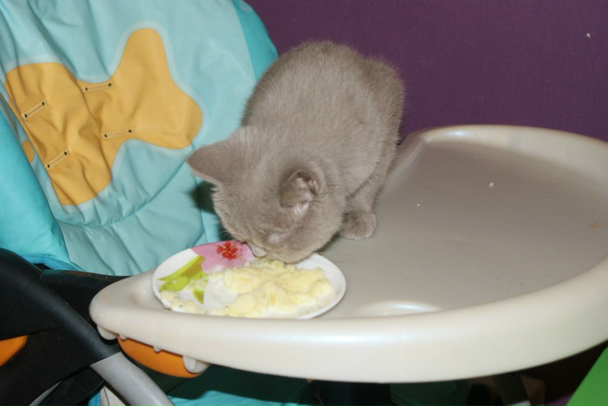 Наталья Виноградова | Санкт-Петербург