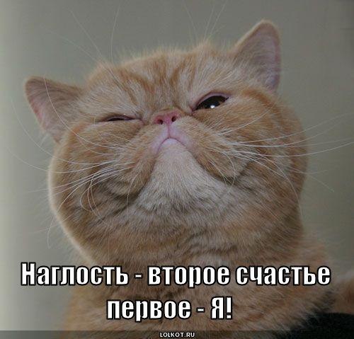 Яна Караянова ♥Незабудк@♥ | Мариуполь