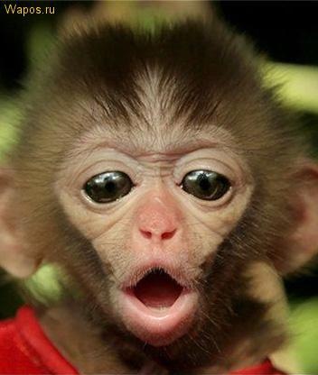 Денис Лотарев | Курск