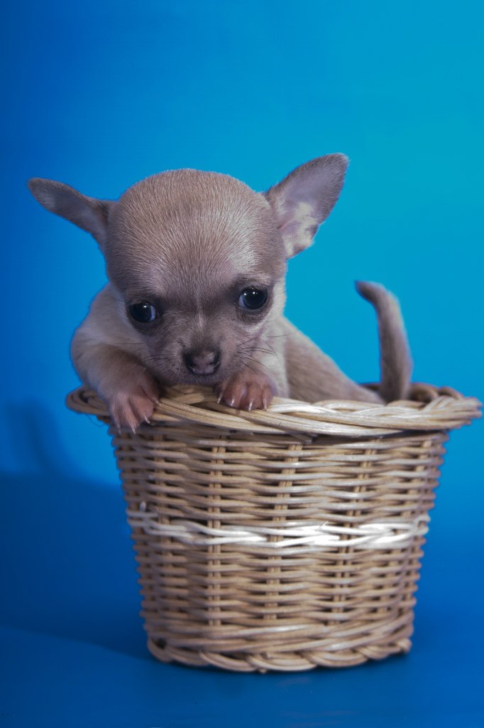 Лариса Лунде | Санкт-Петербург