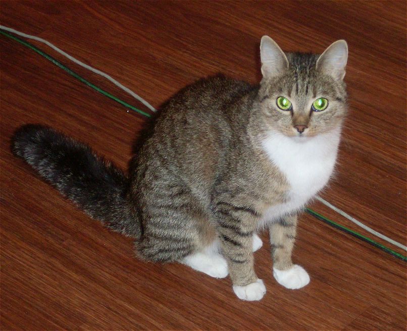 Галина Дементьева | Северодонецк