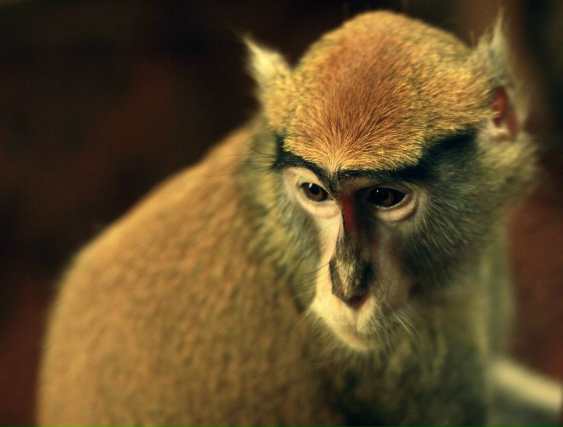 Мария Удалова | Нижний Новгород