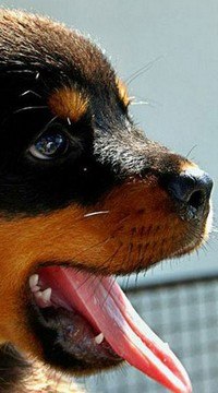 Евгений Чухнов | Казань