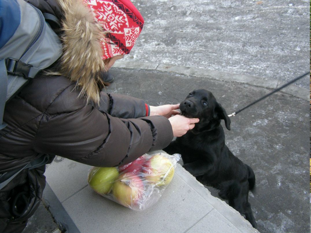 Юлия Пчёл | Омск
