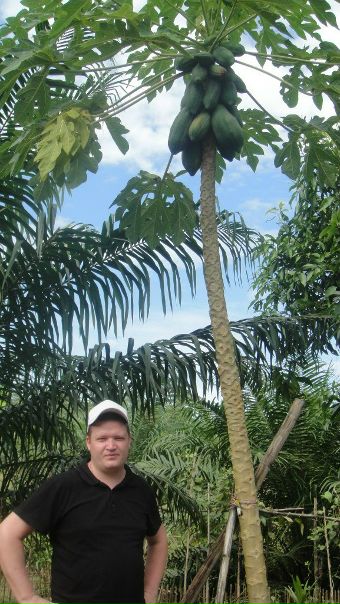 №79, Анастасия Пожарнова, 24.11.1988, Санкт-Петербург №79, Анастасия Пожарнова, 24.11.1988, Санкт-Петербург