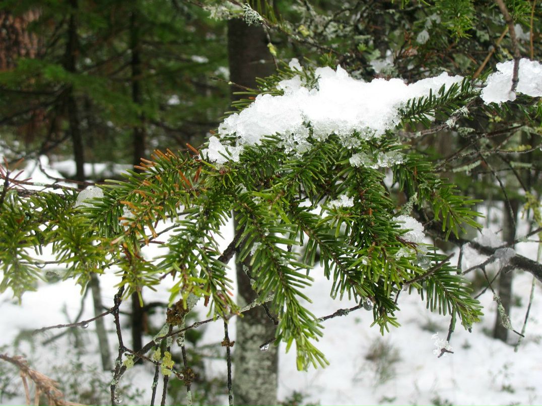 Юлия Колесник | Екатеринбург