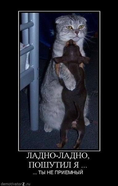 Денис Денисов Фидельевич | Matanzas