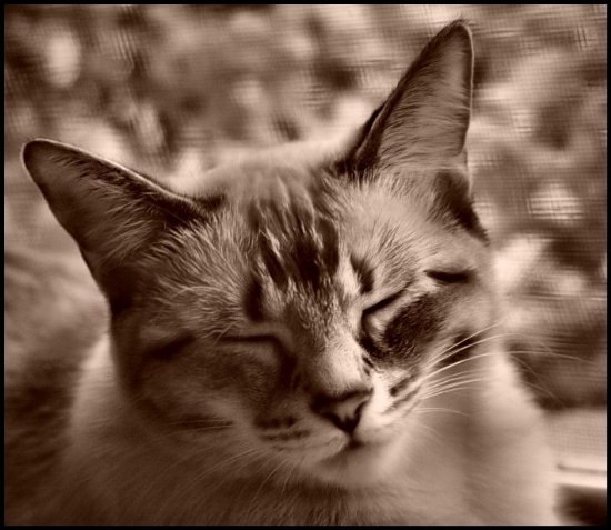 Віталій Клімов | Долинская