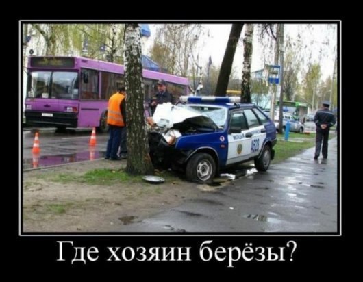 Никита Сергеевич | Санкт-Петербург