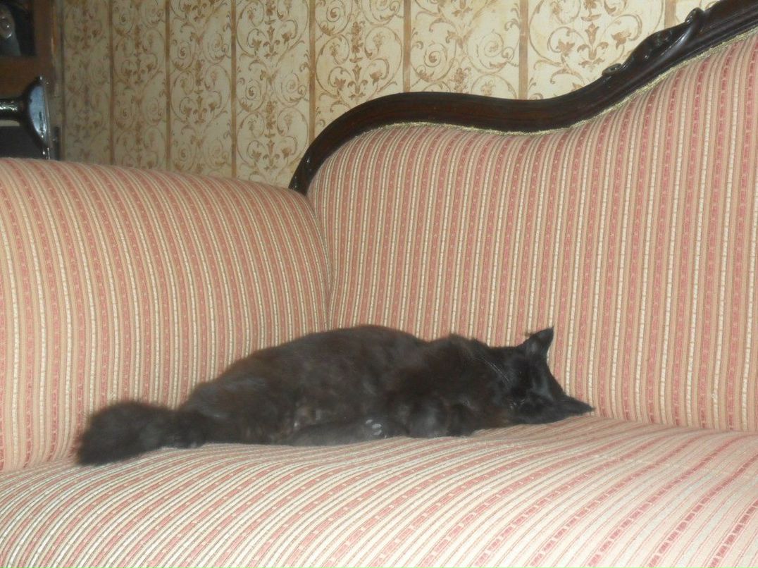 Влада Мокрушина Львовна | Москва