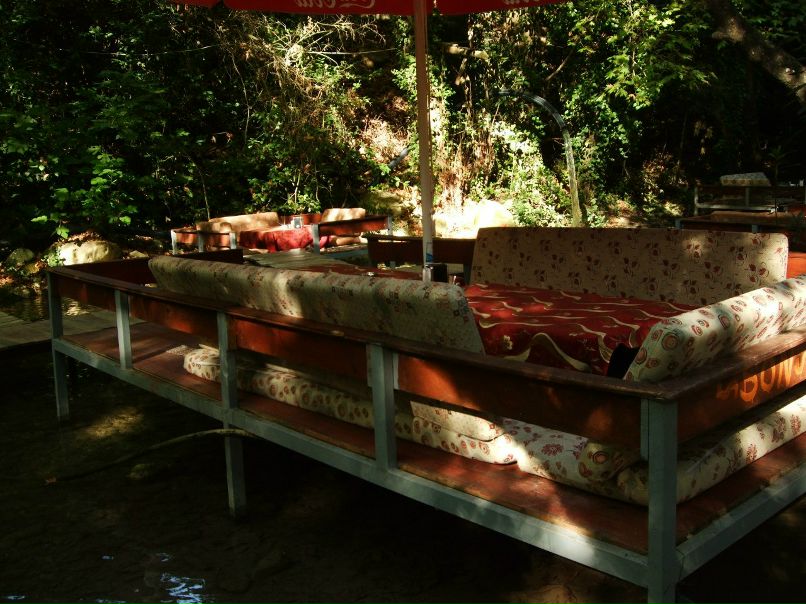 Татьяна Перегудова | 