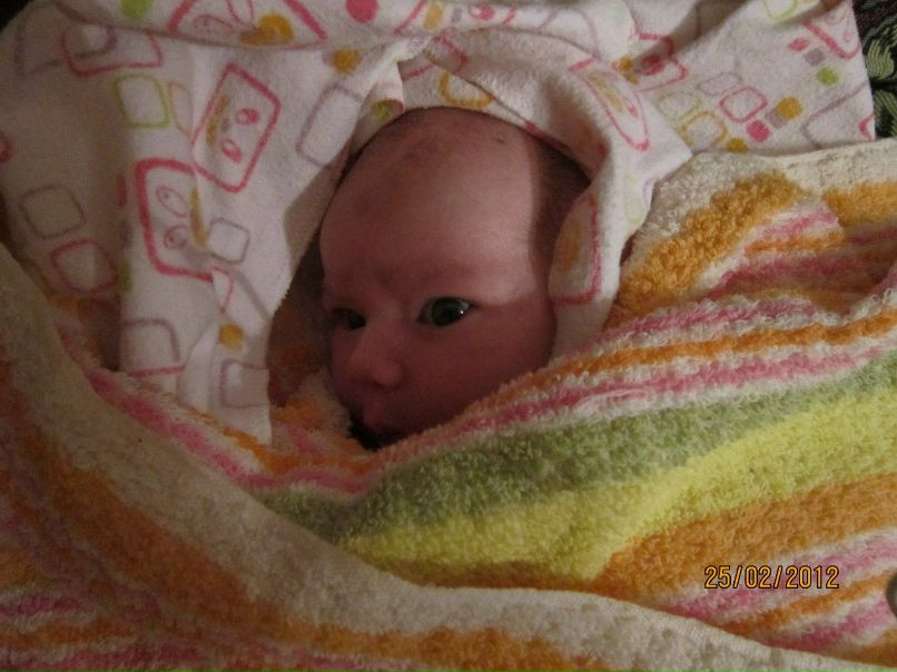 Татьяна Садовская | Минск