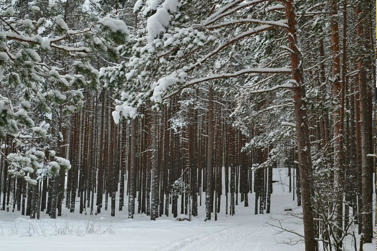 Alexander Vinokhodov | Санкт-Петербург