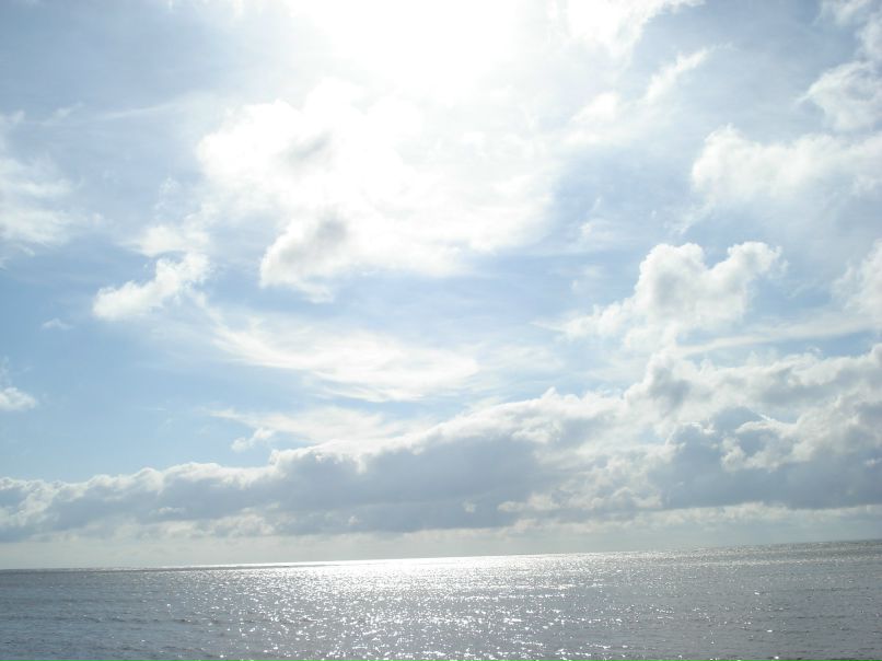 Евгений Лифшиц | Санкт-Петербург