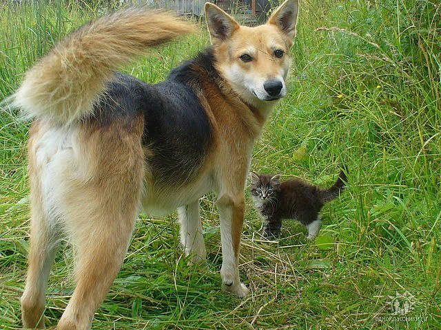 Евгений Сизоненко | Ульяновск