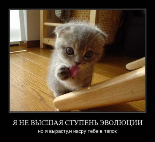 Василь Щупак | Львов