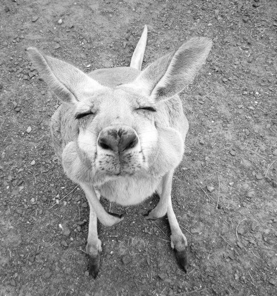 Ольга Высоцкая | Минск