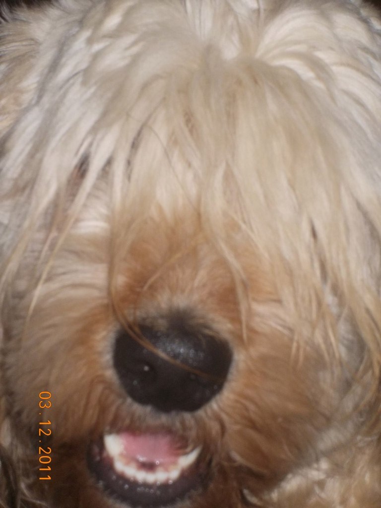 Филипп Фурман | Москва