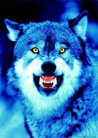 Мамедов Ильхам остарожно | Санкт-Петербург