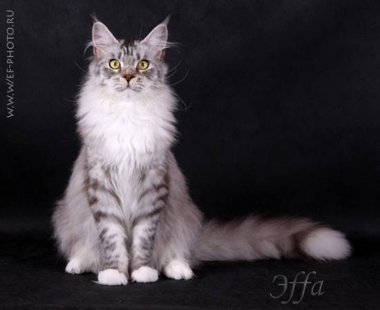 Андрей Хайрулин | Москва