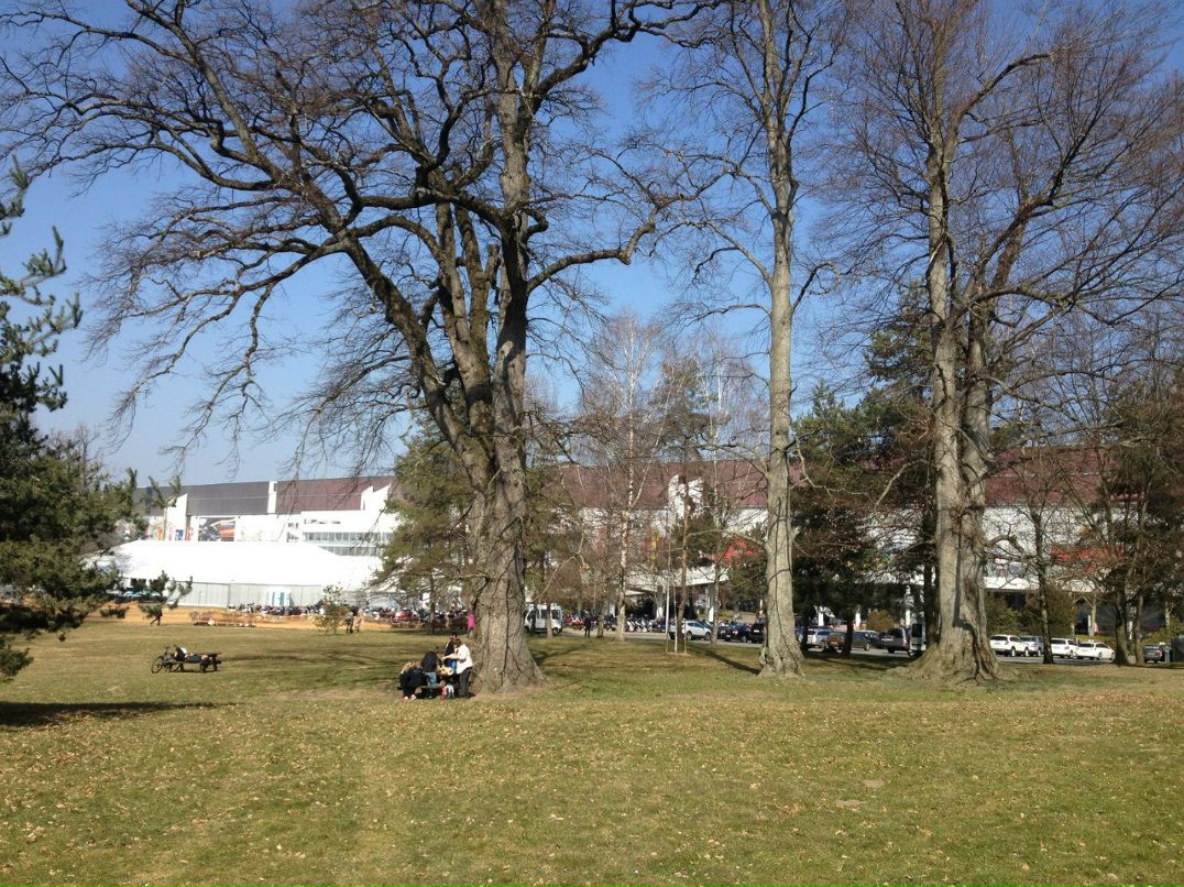 Тимофей Исаев | Москва