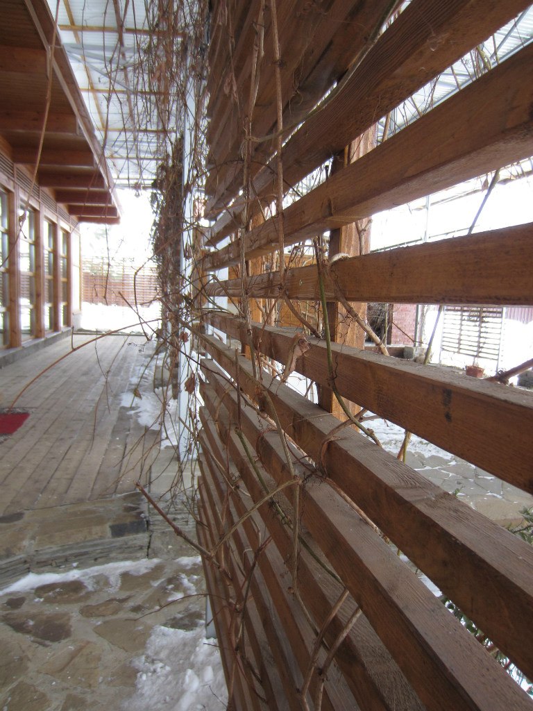 Юлия Мокеева | Москва