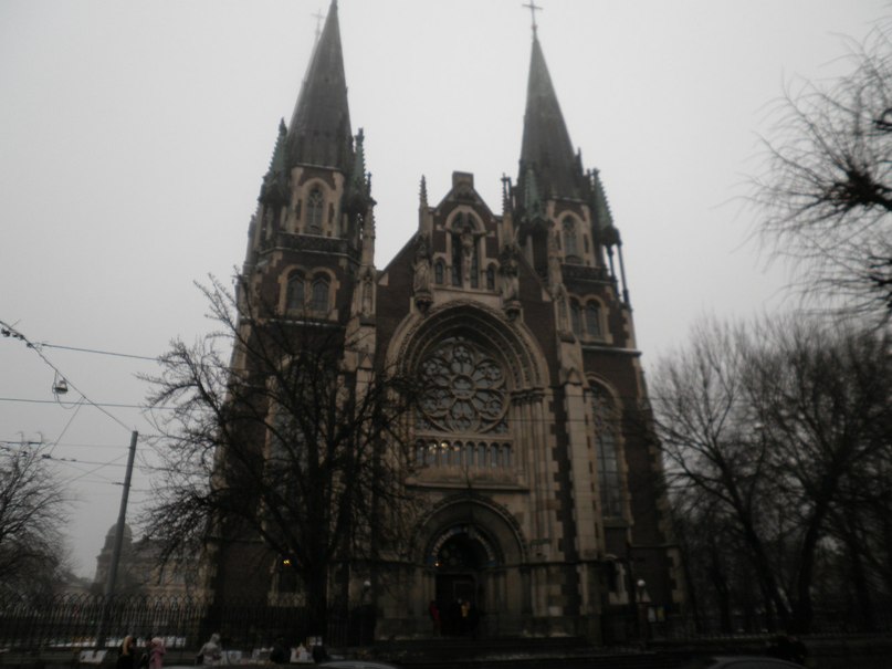 Наталия Дрозд | Чернигов