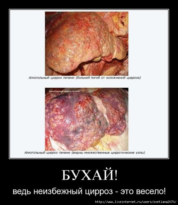 Poppers Pop Алкоголь Ночью | Чайковский