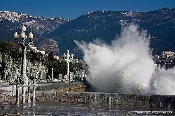 Елисей Бороздин | Ялта