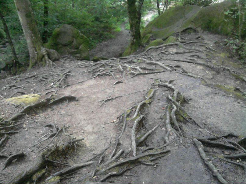 Дима Павлюк | Антрацит